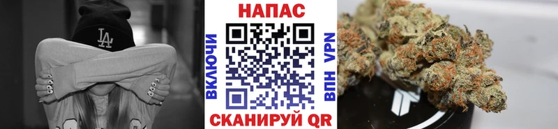 Конопля Amnesia  Купить где  Заинск 